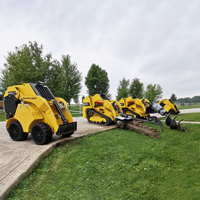 Mini skidsteers with different tools