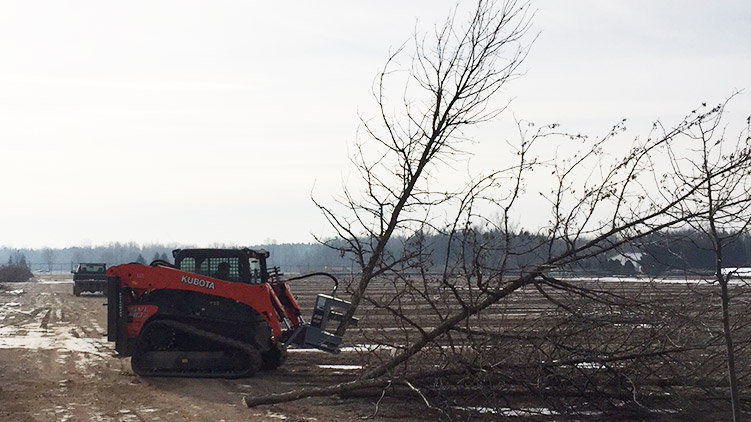 Cisaille d'arbre Baumalight sur Kubota