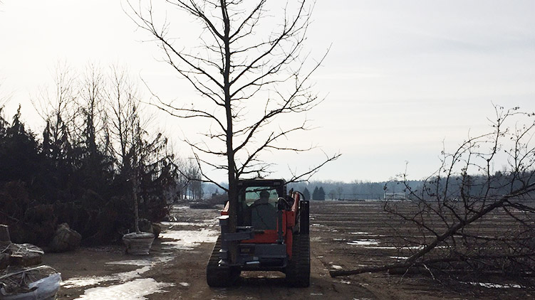 Tracked horizontal skidsteer tree shear