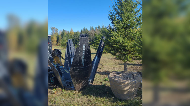 root ball basketed using tree spade