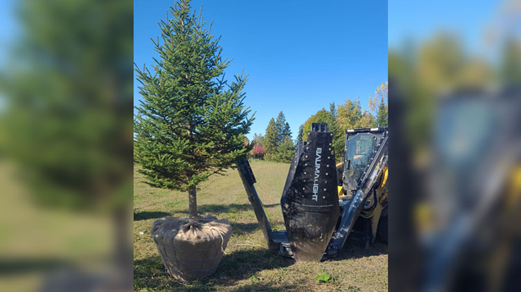 tree lifting with baumalight tree spade