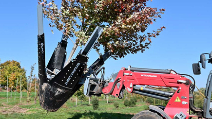 Arbre Baumalight à lames semi-tronquées