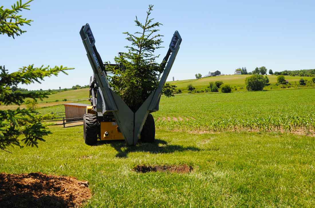 Bêche Baumalight  24 po déplaçant un arbre