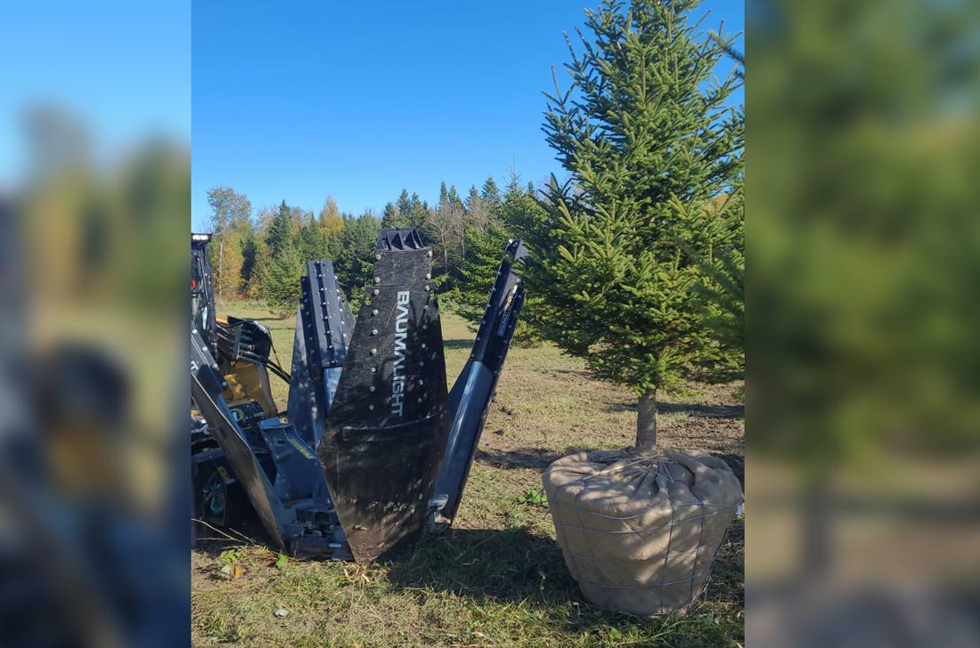 motte enlogée à l'aide d'une pelle à arbre