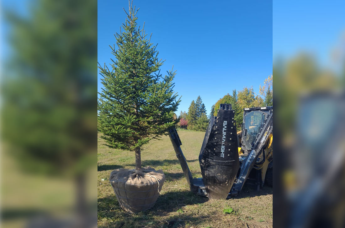 levage d'arbres avec la pelle à arbre Baumalight