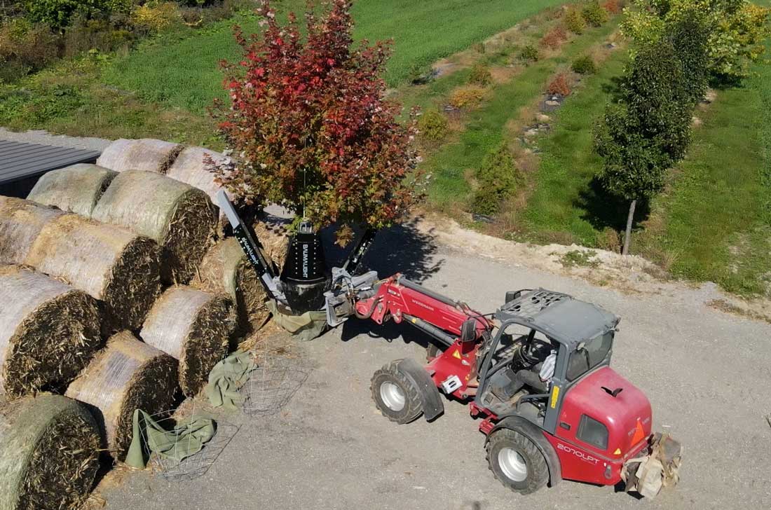 Bêche d'arbre Baumalight DR444 sur skidsteer