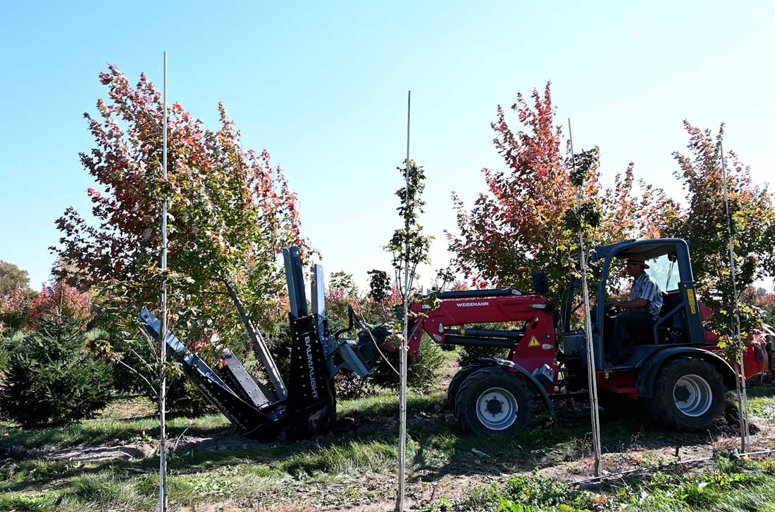 Baumalight DR444 avec adaptateur universel skidsteer