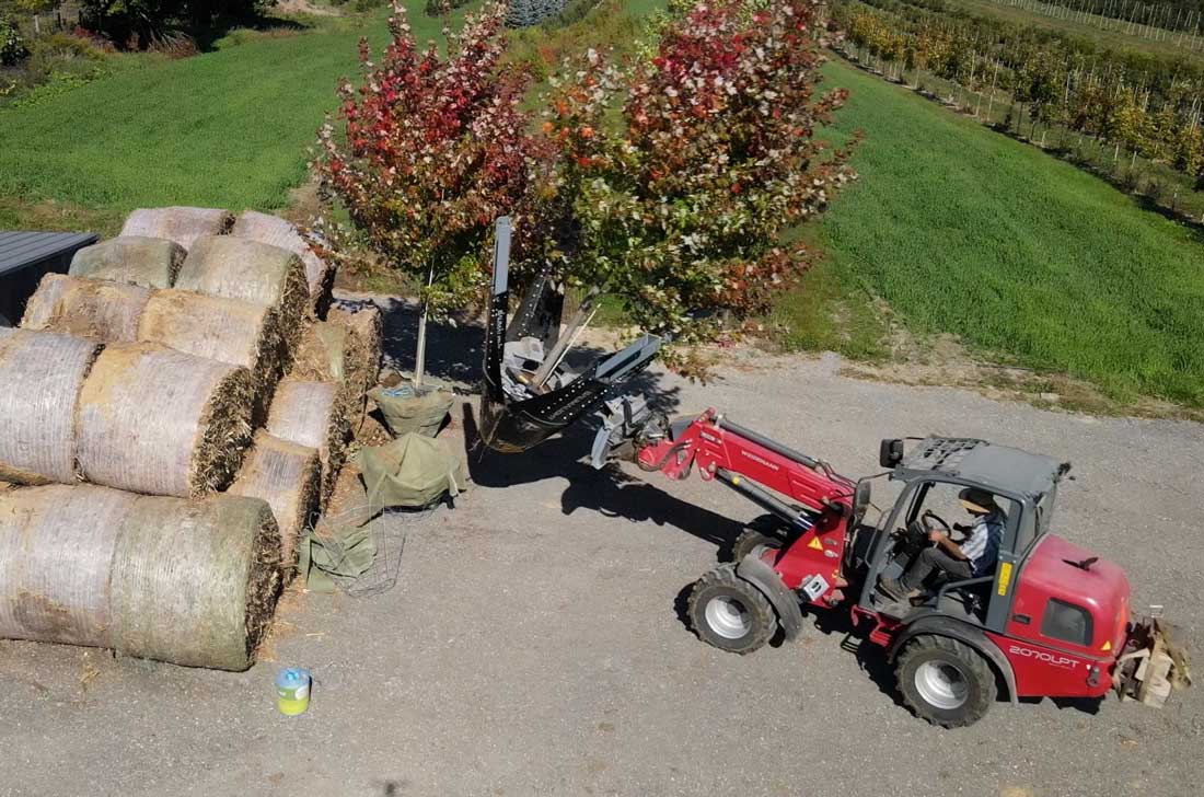 Wheel loader with Baumalight tree spade