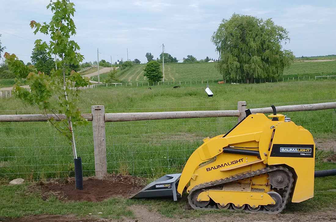 Planter un arbre avec un mini chargeur à chenilles