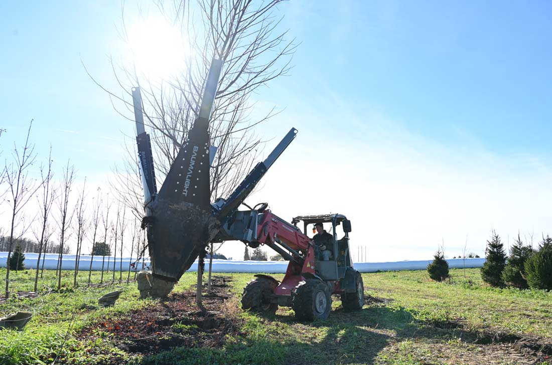 moving tree using dr448 tree spade