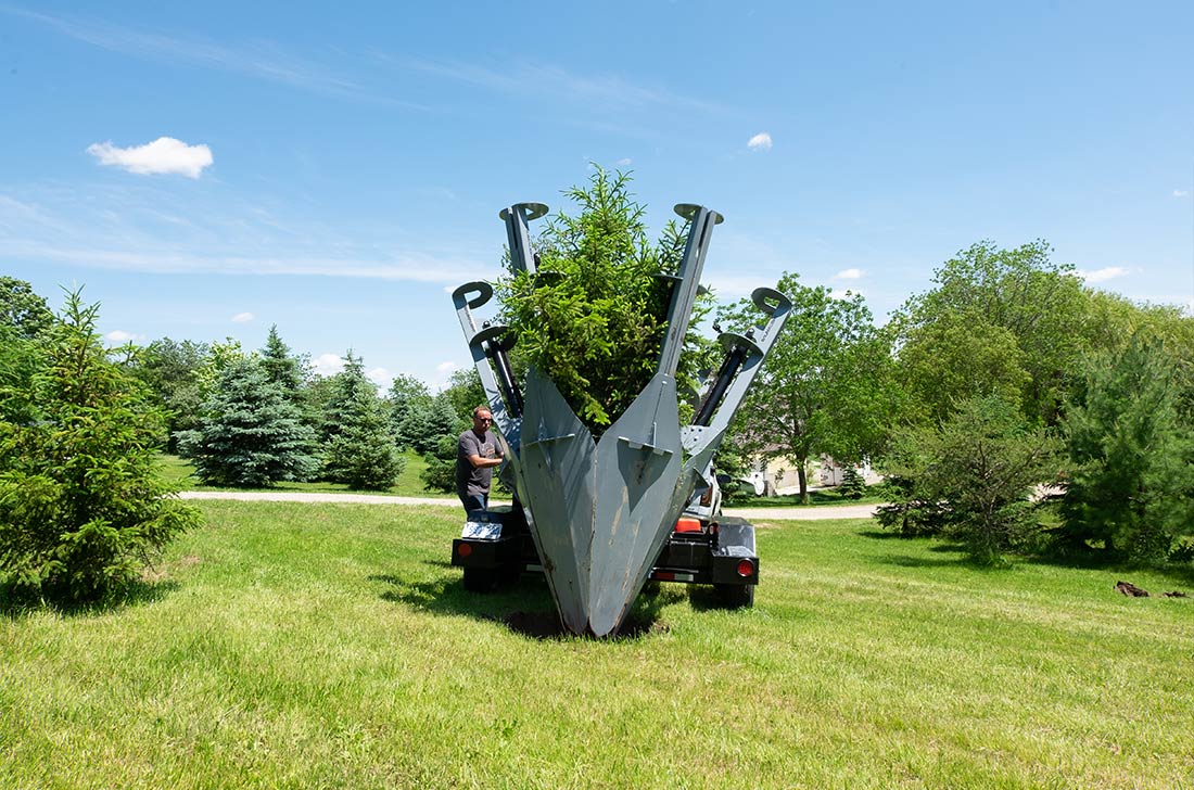 La motte racinaire a été placée en toute sécurité par la bêche à arbre Baumalight